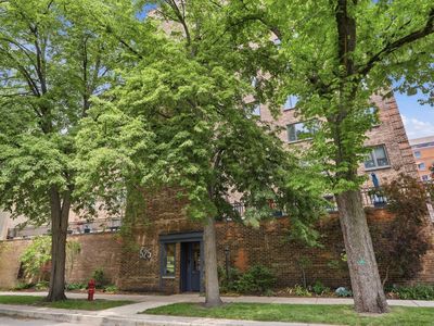 525 Grove St APT 2D