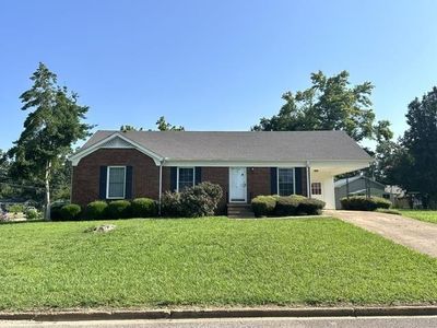 15 Pine St