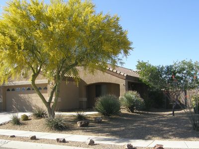 10597 E Feltleaf Willow Trl