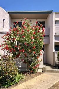 3254 Ashford St Unit H