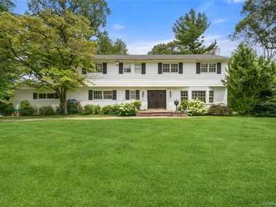 50 Flamingo Road