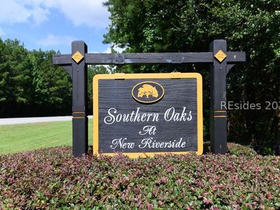 101 Scarlet Oak