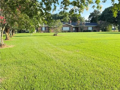 242 Vick Rd
