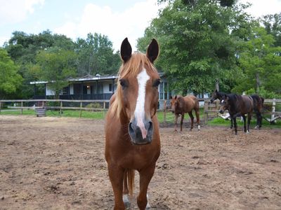 Property at 1155 Joseph Anthony Dr, Awendaw, SC