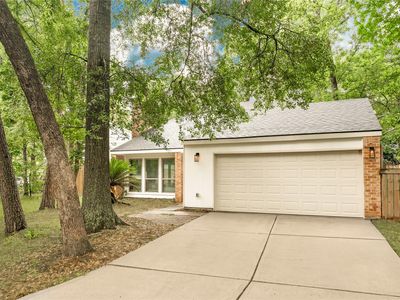 7 S Cypress Pine Dr