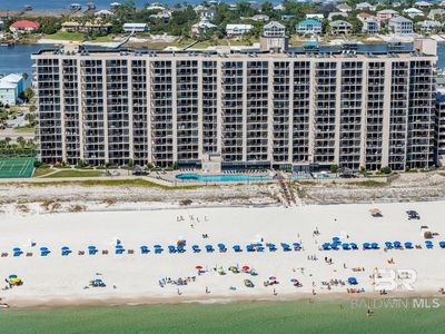 29576 Perdido Beach Blvd APT 1203