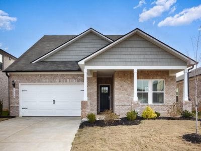 Carolina Plan, The Enclave at Palmetto Pointe - Classic Series