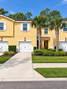 17874 ALTHEA BLUE PLACE