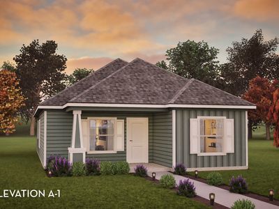 Emerald Plan, Austin Point