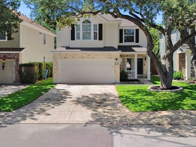 834 Magnolia Mist