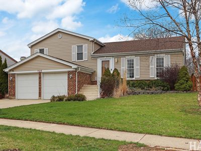 725 Buffalo Cir