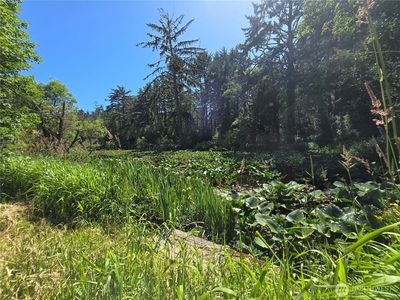 Property at 2225 State Route 105, Grayland, WA