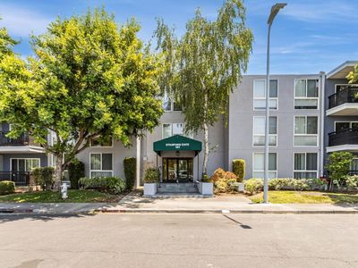 181 Del Medio Ave APT 307