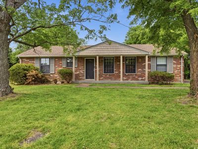 441 Lynn Dr