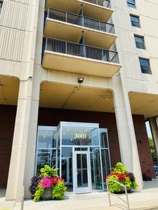 3001 S Michigan Ave Unit 1303