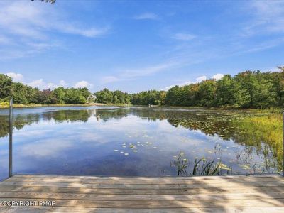 2159 Wild Laurel Dr