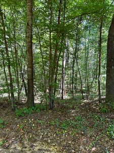 130 Blackhawk Dr