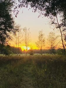 19435 N County Road 349