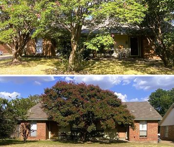 Property at 1105/1107 Park St #A & B, Arlington, TX
