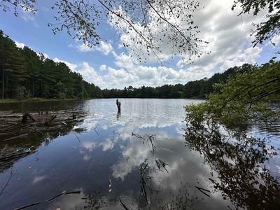 1938 County Road 3305