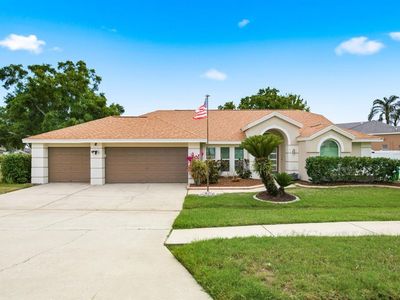 1748 Hermit Thrush Cir