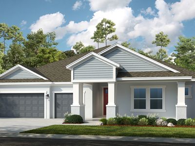 Sunset Plan, Ardisia Park