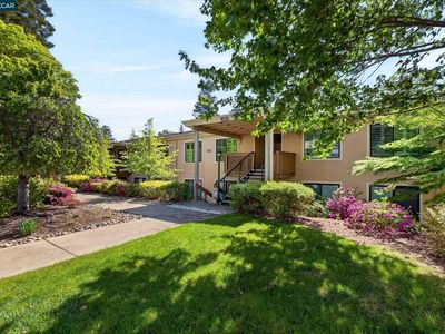 3101 Golden Rain Rd APT 2