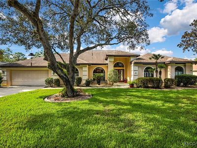 9 Bigleaf Ct
