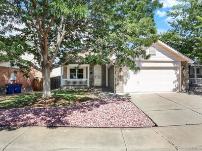 2804 Elaine Drive