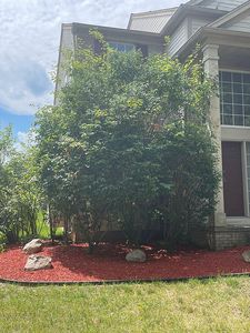 470 Chantilly Ln