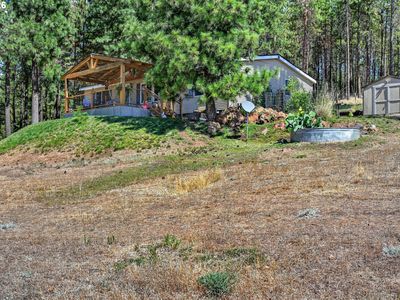 320 Pine Forest Rd
