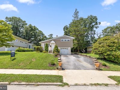 6 Nolan Dr