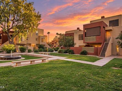 3600 N Hayden Road #3402