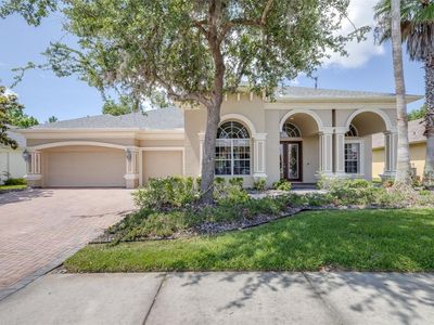 26754 Winged Elm Dr