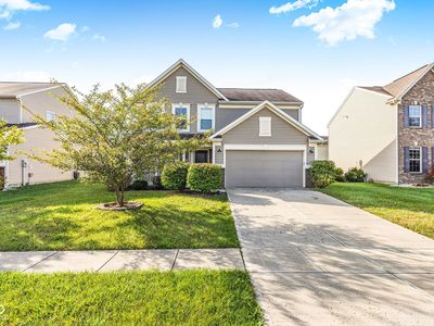 1169 Switchback Dr