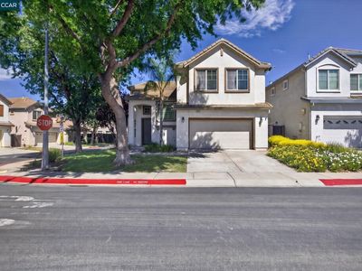 149 Maidenhair St