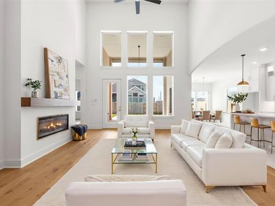 541 Sprigtail Dr