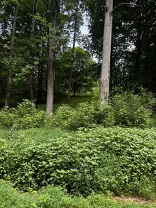 420 Shepherd Hollow Rd