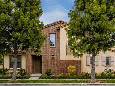 235 Tall Oak