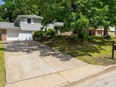 315 Elm Tree Dr