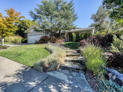 153 Trellis Drive