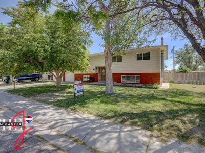 65 Calypso St