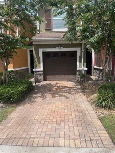 9637 Silver Buttonwood St