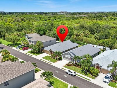 9740 Gladiolus Bulb Loop