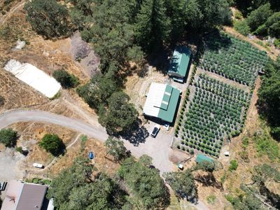 41555 State Highway 36