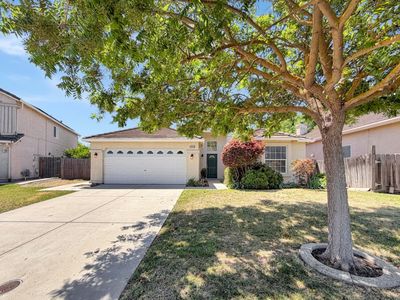 3990 Black Butte Cir