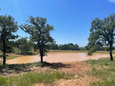13100 Us Highway 281 N