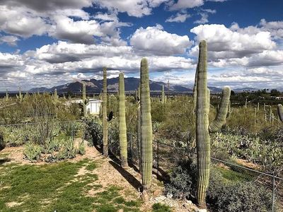 4231 W Camino Nuestro