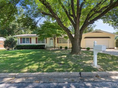 14 Connie Dr