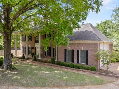 687 Windy Knoll Cv